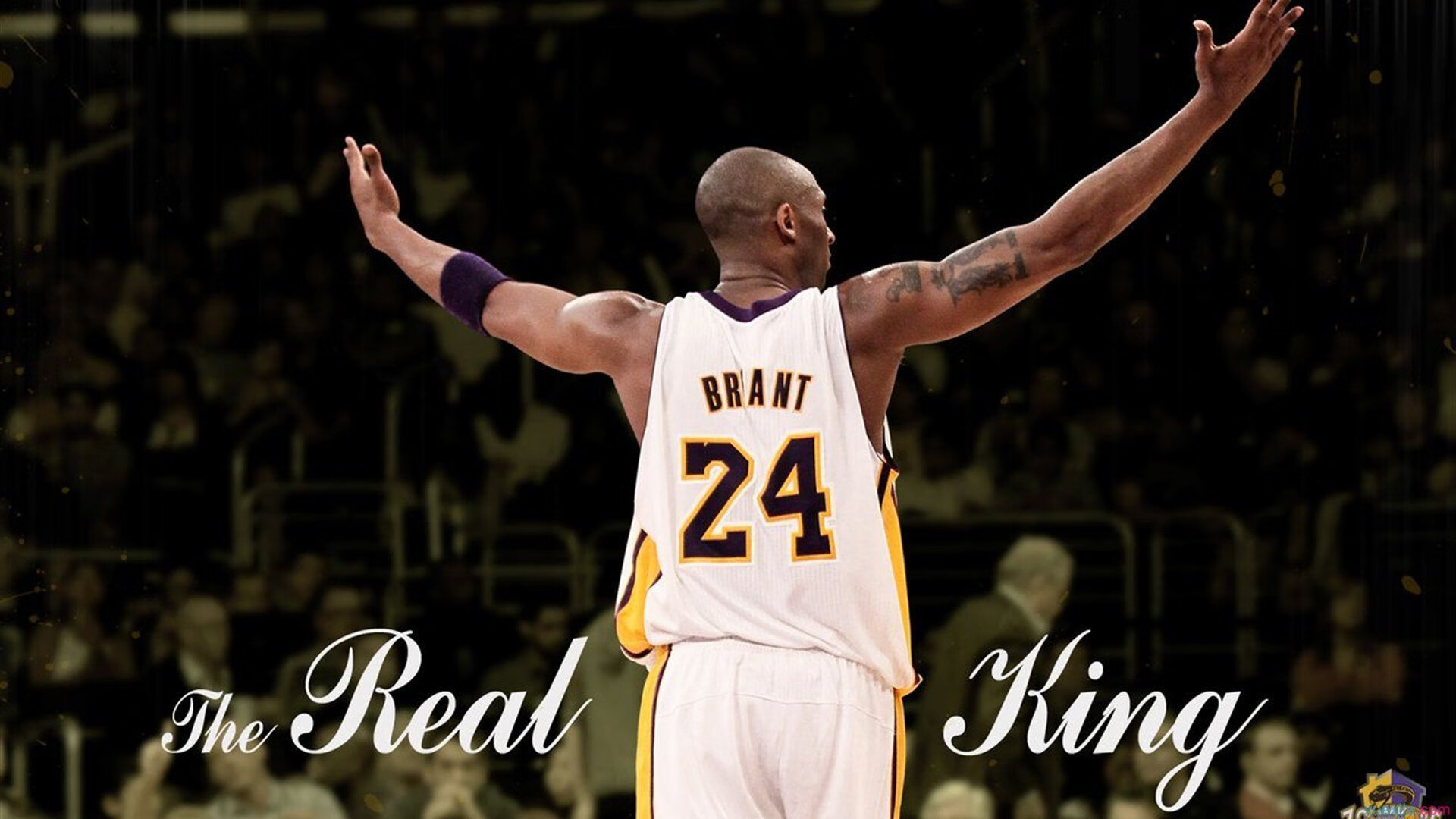 赛季最佳盖帽：那些令人惊叹的防守瞬间，单赛季盖帽最多的后卫