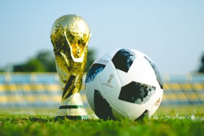 美国马术协会设立青少年马术奖学金，支持优秀学员发展。，美国马术最好的大学